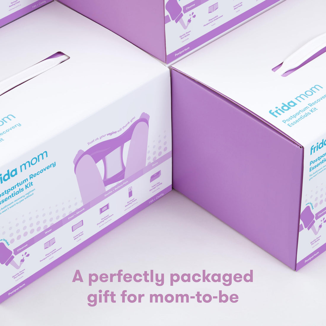 Frida Mom 11pc Postpartum Essentials Kit Gift Set